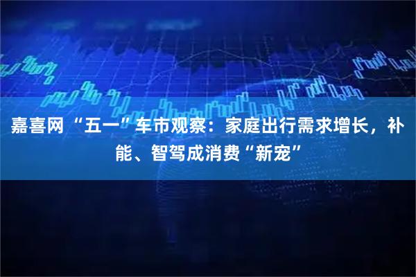 嘉喜网 “五一”车市观察：家庭出行需求增长，补能、智驾成消费“新宠”